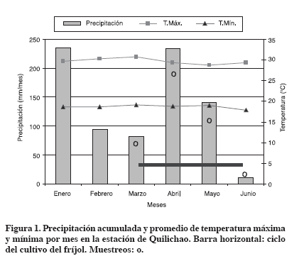 Figura 1