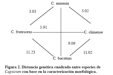 figura2