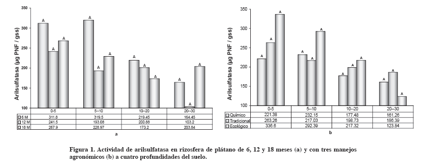 Figura1