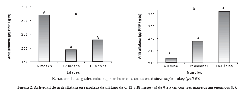 Figura2