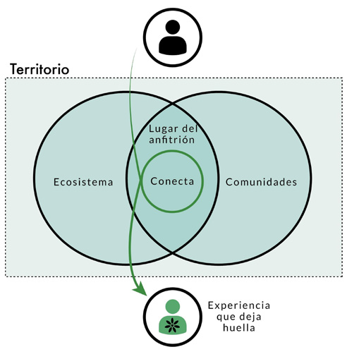 Figura 5. Concepto de la interacción de Experiencia Arbórea. Fuente: elaboración propia, presentada en Rubiano y Mejía (2022).