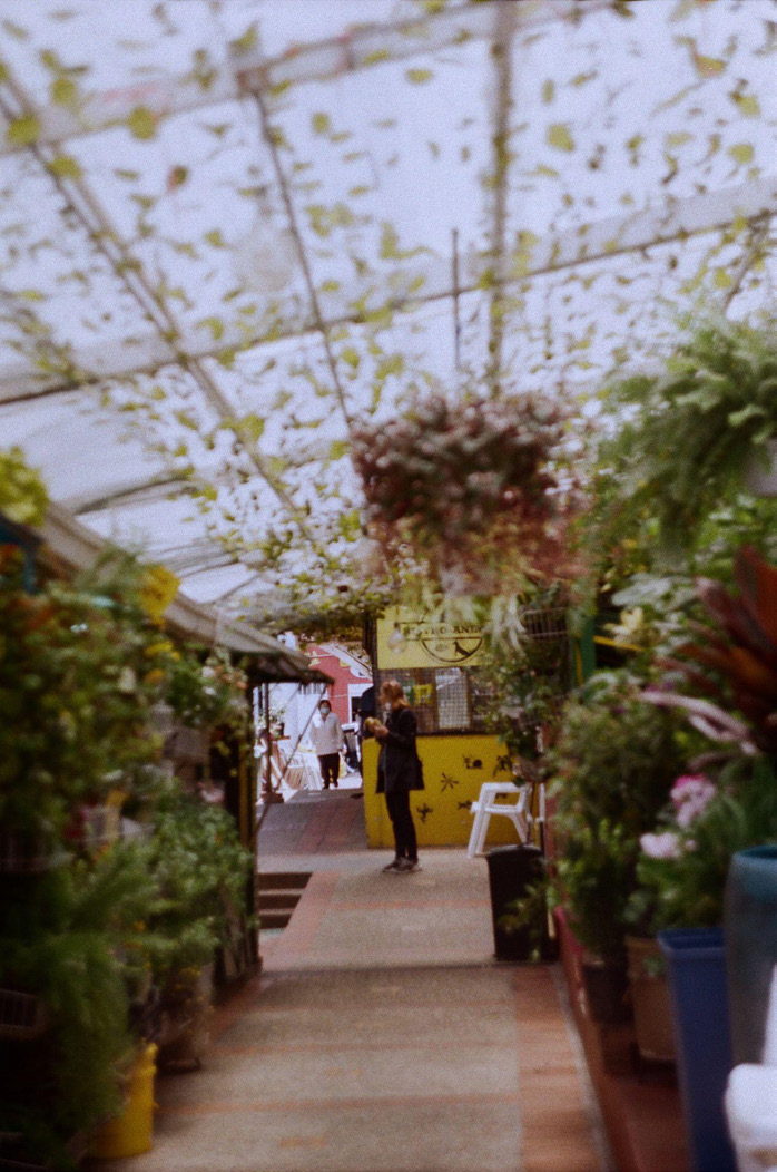 Figura 20. Pasillo de la plaza La Perseverancia actúa casi como un sueño lucido del único pasillo que aún tiene puestos de venta de frutas, plantas y vegetales. Fuente: Angell Sue Valencia (2024).