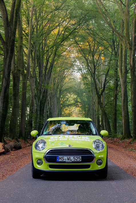 Figure 9. The Mini Cooper’s front is considered cute by many, perhaps due to an association with a baby’s face.Source: Dietmar Rabich (2016). Dülmen, BMW Mini[Photograph]. Wikimedia Commons, CC BY-SA 4.0.