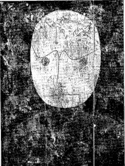 Fig. 2. Escolar (autorretrato) (Óleo sobre lienzo de madera), de P. Klee, 1932, Rolf Bürgi, Belp, Berna.