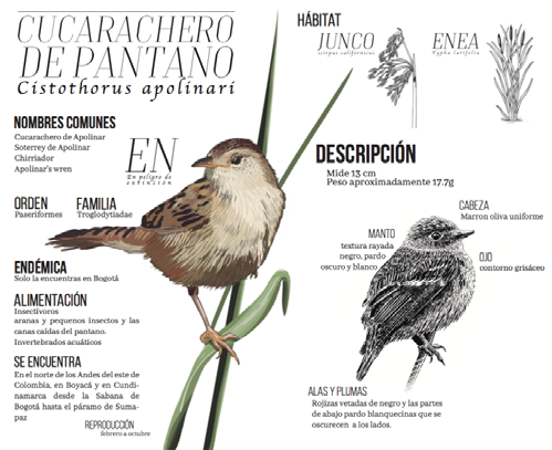 Figure 4. AveBo.Fuente: Guevara (2017).