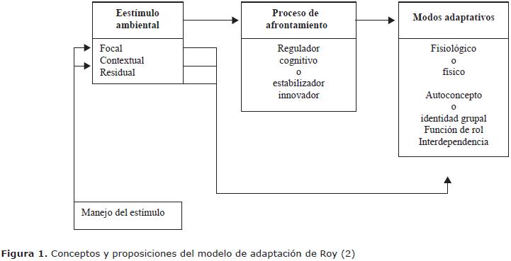 Vista de Modelo de adaptación de Roy en un ensayo clínico controlado |  Avances en Enfermería