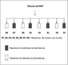 vol_viii_No_2_2006_diciembre-5-15-1.jpg