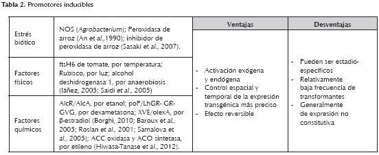 Principales Promotores Utilizados En La Transformacion Genetica De