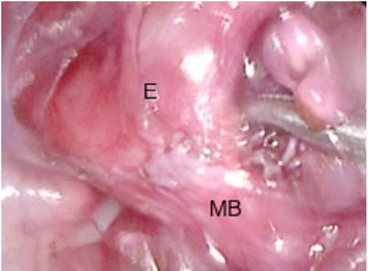 Fig5.jpg