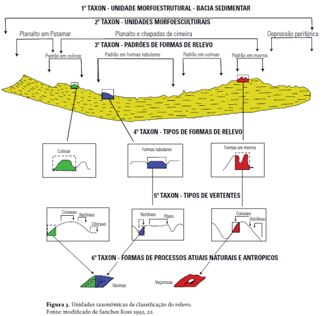 Figura 3