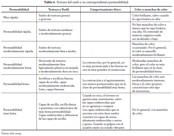 Tabla 6