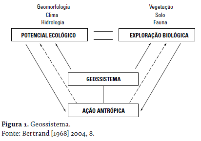 figura 1