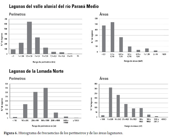 Figura 6