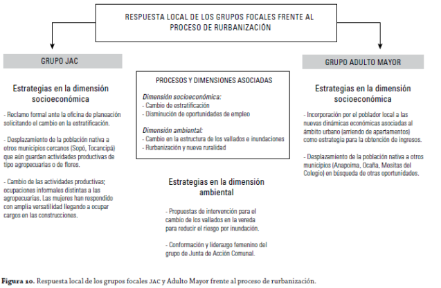 Figura 10