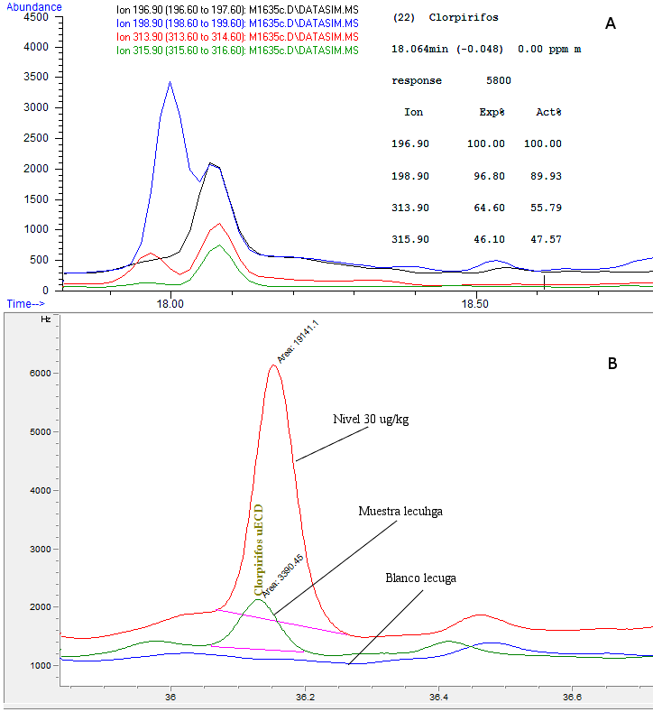 Figura 4. Identificación de clorpirifos en lechuga por metodo screening (A) y
método cuantitativo (B)