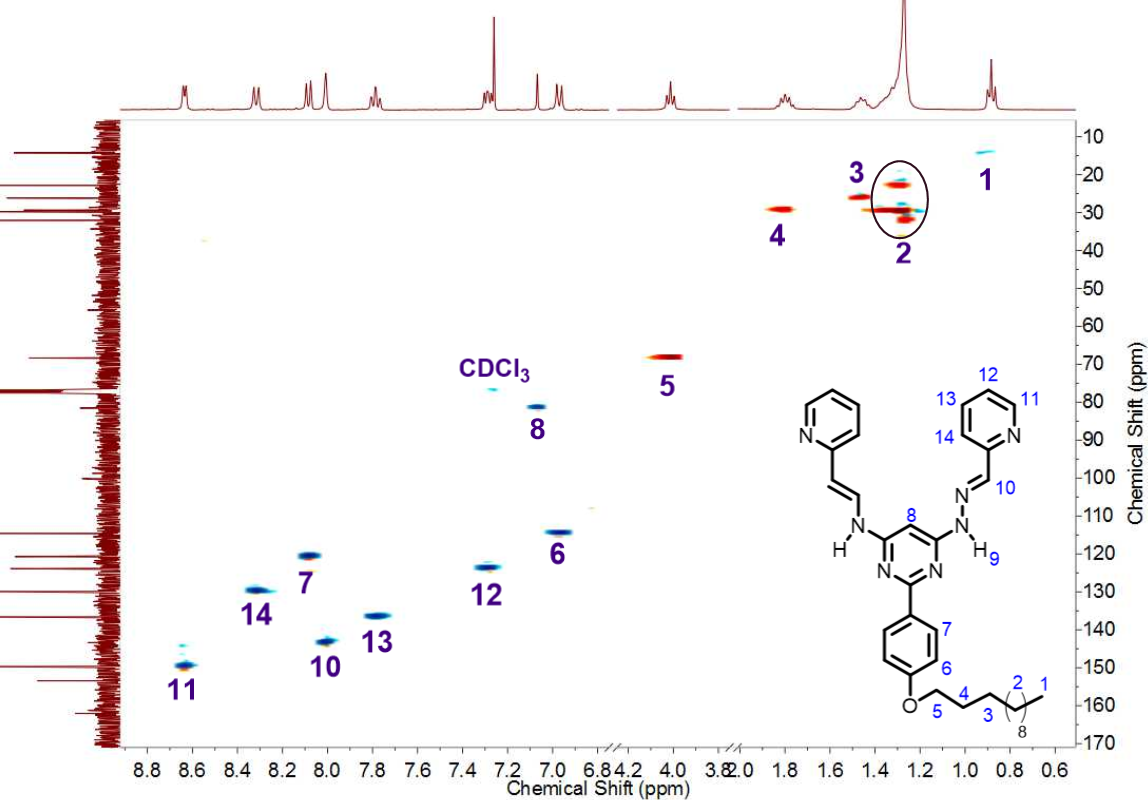 
Figure 4. HSQC spectrum (400 MHz) of bis(hydrazone)
4 in CDCl3.
