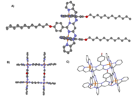 
Figure 5. A) Computed structure of metallogrids of 1. B) and C)
top and side view of the metallogrids; for simplicity, alkyl chains were
removed. Carbon atoms are represented in grey, oxygen in red, nitrogen in blue
and metallic ions in orange. 