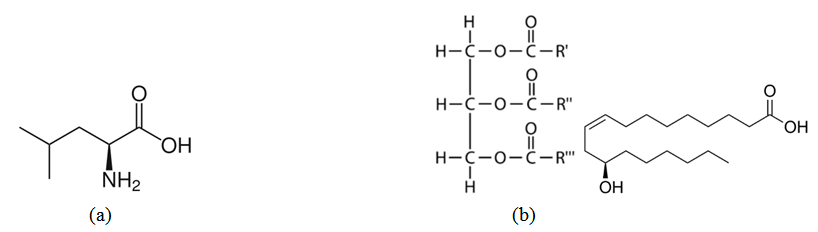 Figure 1. Molecular structure of (a)
L-leucine and (b) Trypsin complex (triester of glycerol and ricinoleic acid).