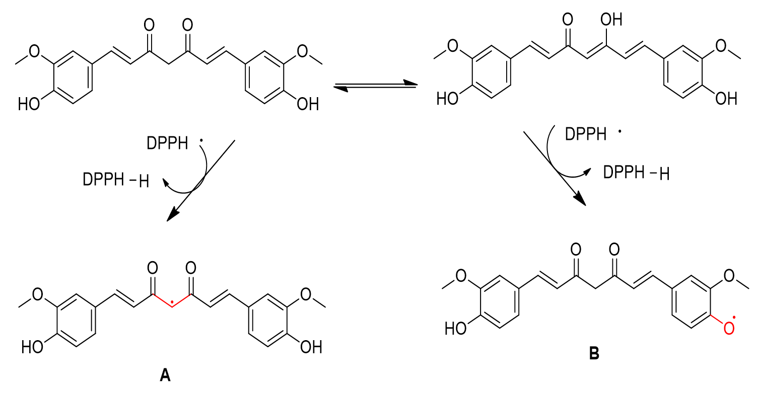 Curcumin reaction with DPPH• in tautomeric ceto-enolic form [42].