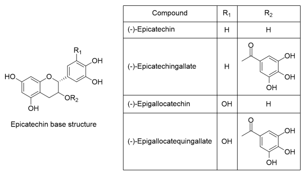 Figure 1 .