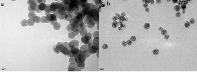 Imágenes obtenidas por SEM de los materiales SN1 (a) y SN3 (b).