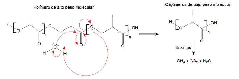 Figura 1. Degradación hidrolítica del PLA [7].