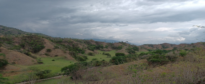 Cuenca Humedal La Bramadora, Antioquia, Colombia