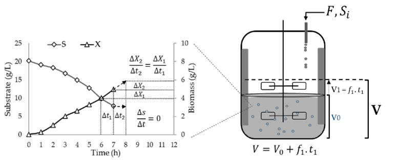 Scheme of culture behavior for model deduction