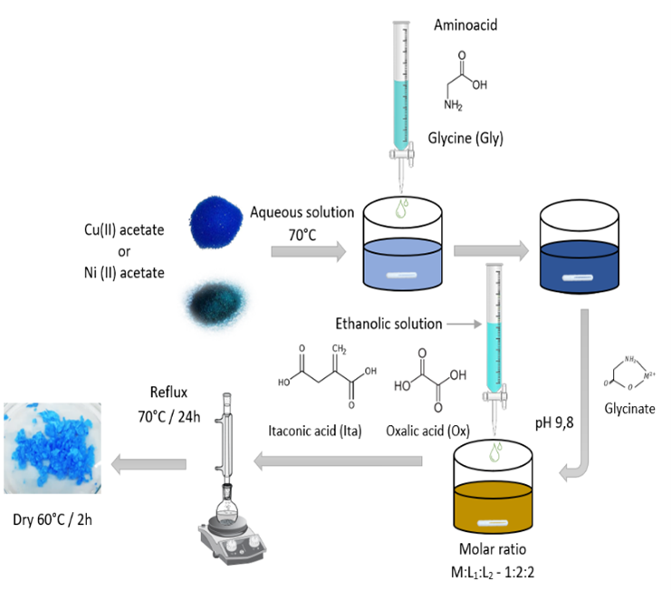 Scheme of the synthesis of metal complexes M:L1:L2