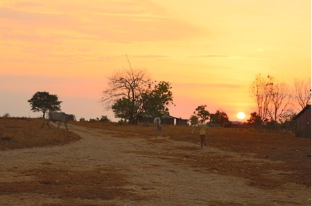 Atardecer en una de las huertas de Doña Aurora en el municipio de Cumaribo, Vichada.  Fuente: Patricia Gómez-Nore