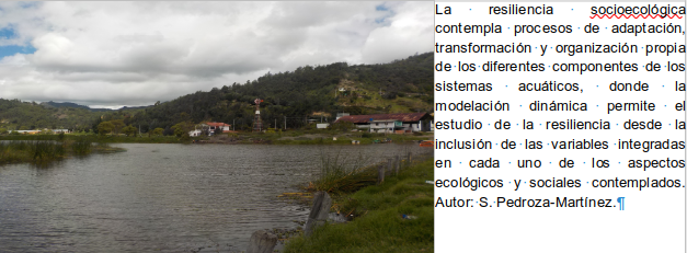 La resiliencia socioecológica contempla procesos de adaptación, transformación y organización propia de los diferentes componentes de los sistemas acuáticos, donde la modelación dinámica permite el estudio de la resiliencia desde la inclusión de las variables integradas en cada uno de los aspectos ecológicos y sociales contemplados. Fuente: S. Pedroza-Martínez.