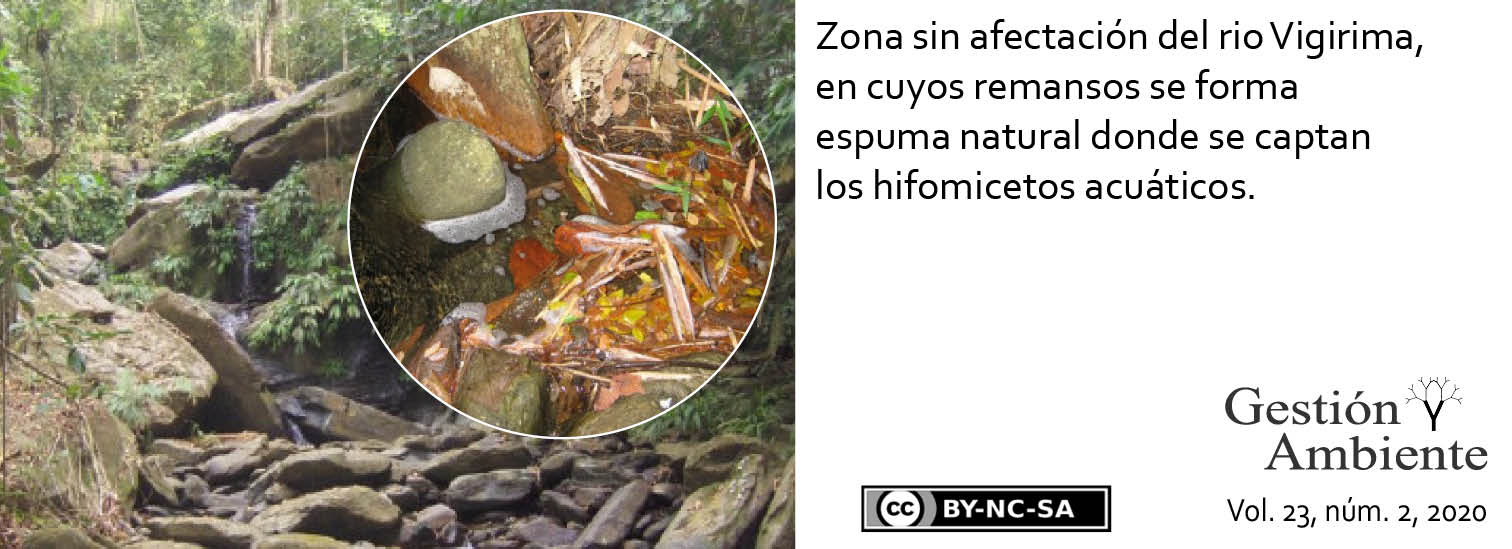 Zona sin afectación del rio Vigirima, en cuyos remansos se forma espuma natural donde se captan los hifomicetos acuáticos. Fuente: R. Fernández