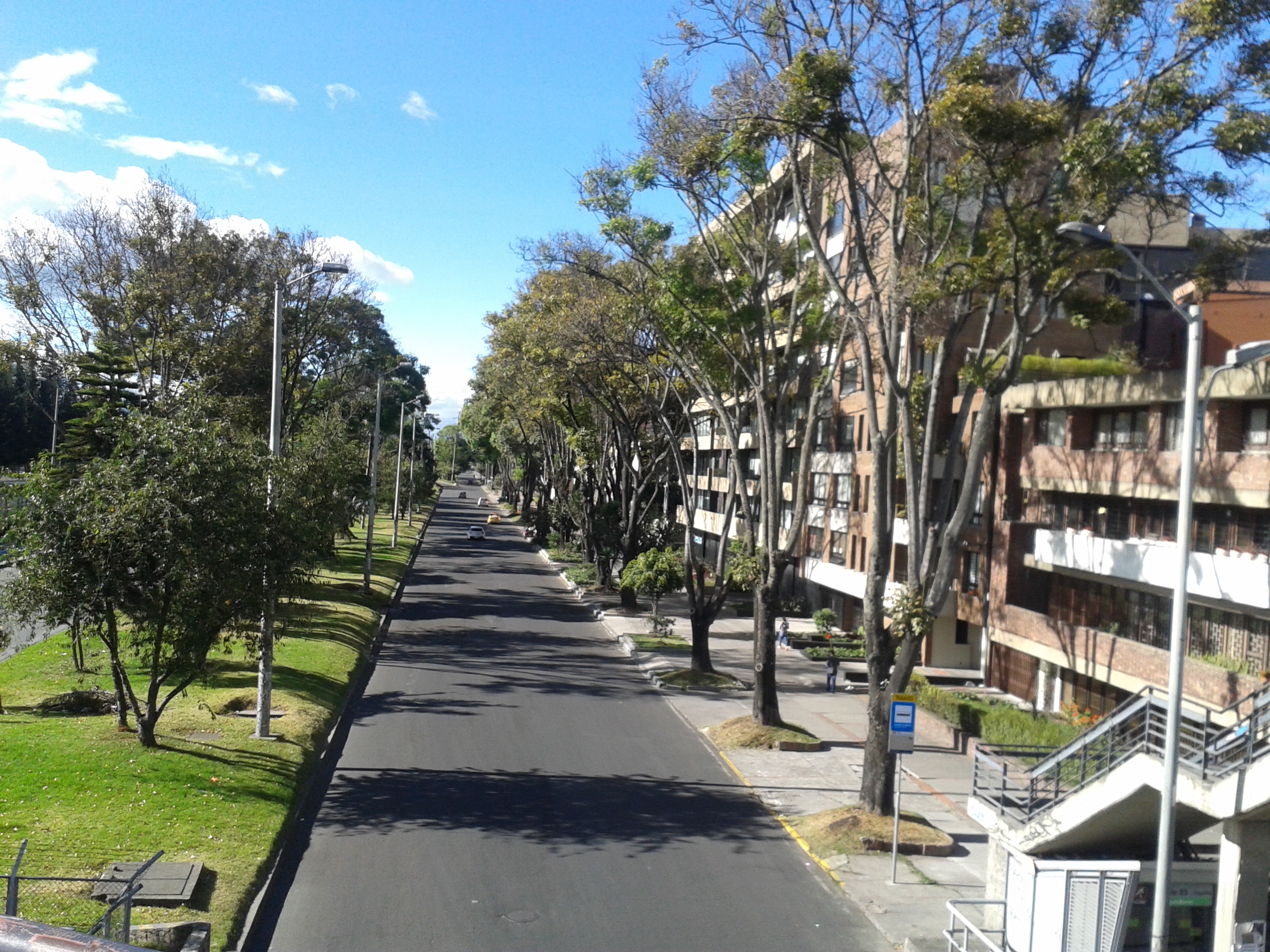 Arbolado urbano en corredor de movilidad de la ciudad de Bogotá D.C. Autor: Solorza-Bejarano, J. 2016.