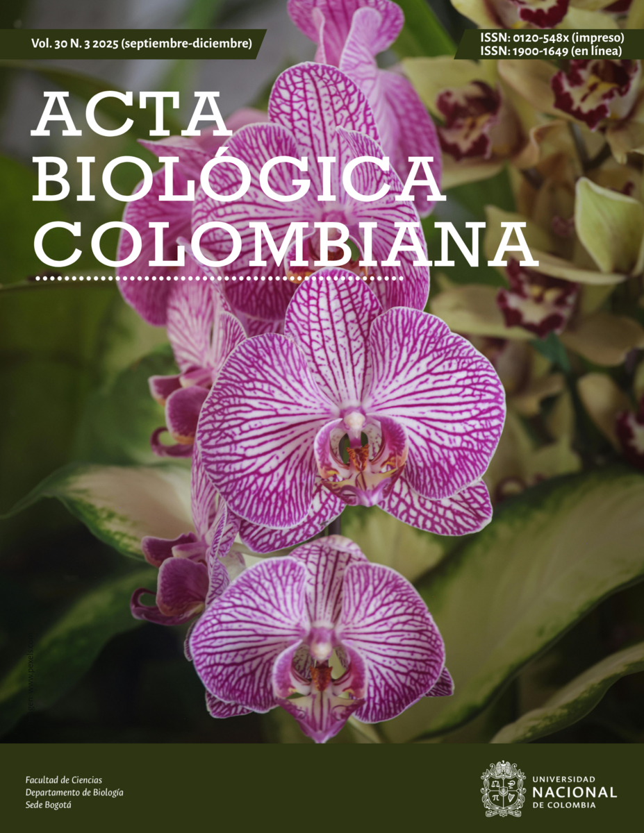 					Ver Vol. 30 Núm. 3 (2025): Versión anticipada
				