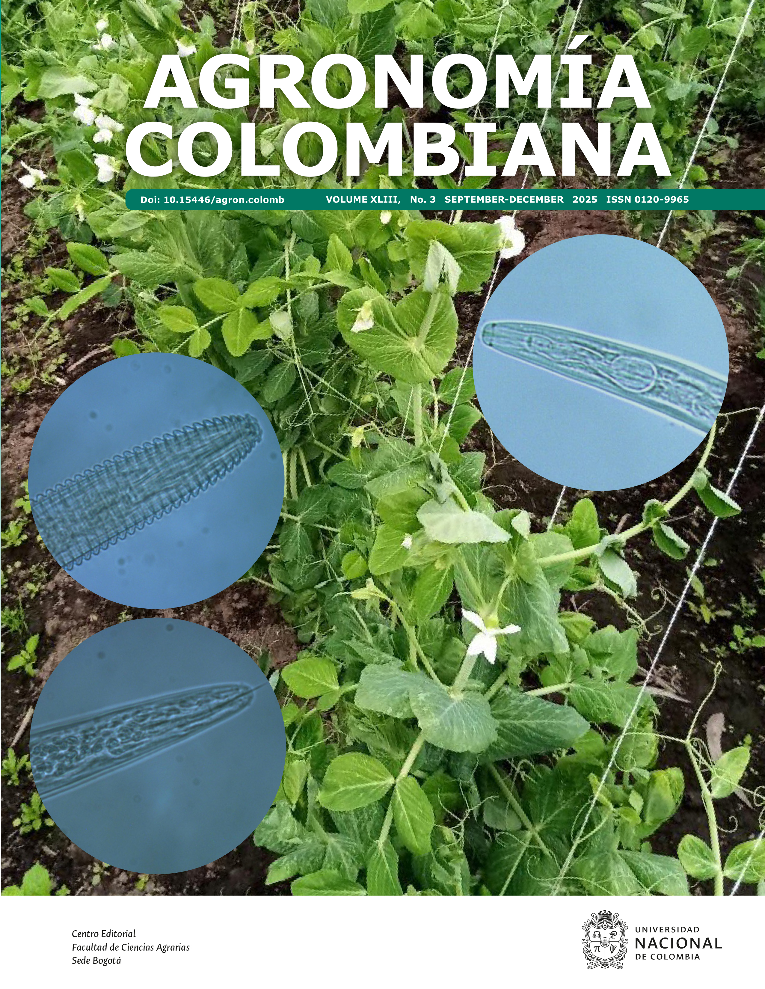 					View Vol. 43 No. 3 (2025)
				