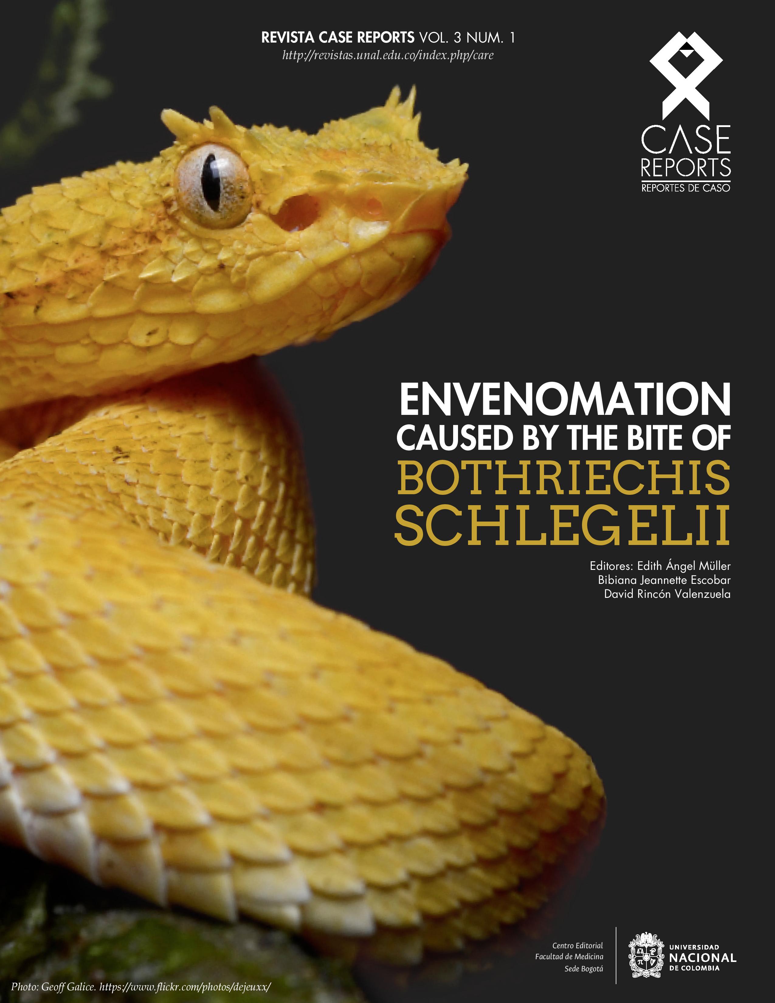 portada de la revista - Serpiente del género Botriechis