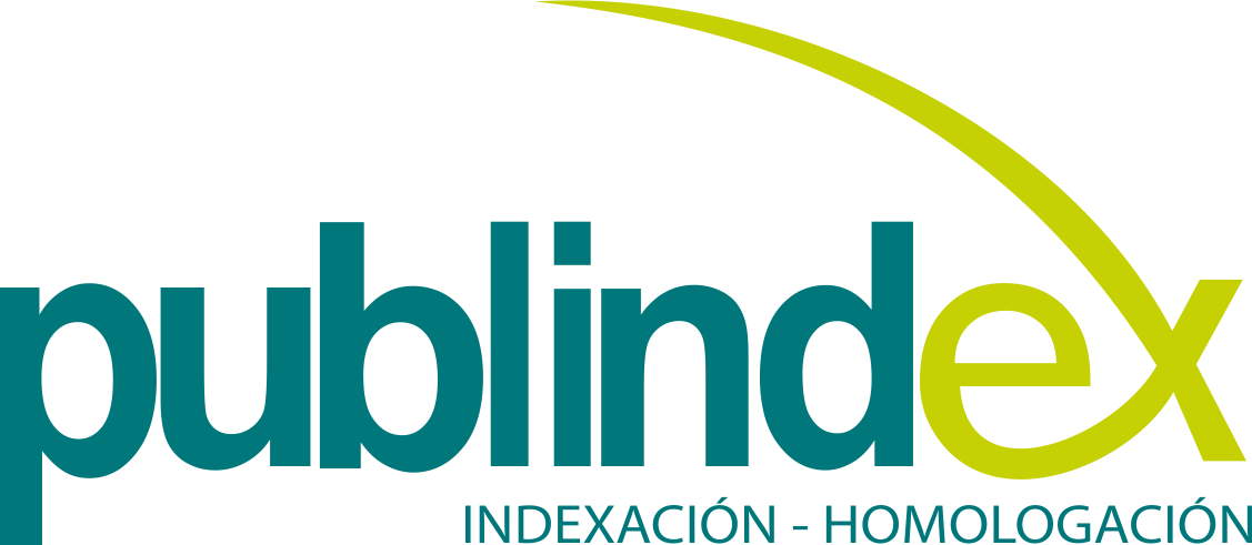 Logo Publindex